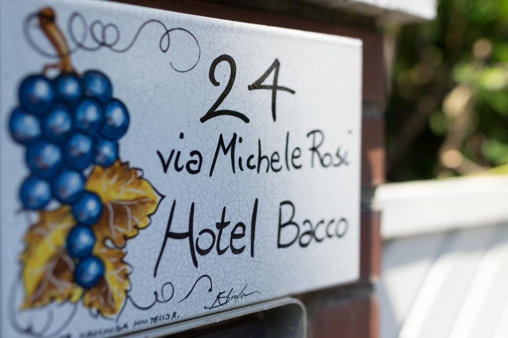 Hotel Bacco Lido di Camaiore Esterno foto